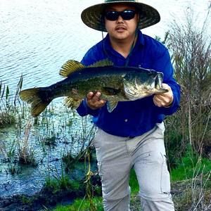 Meet your Posher, Yeng